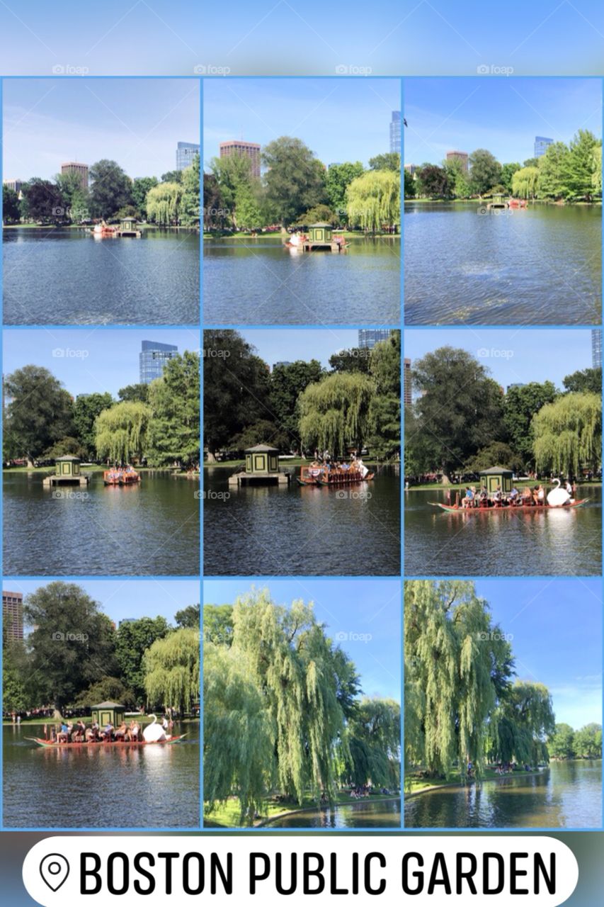 Lagoon Public Garden, Boston, Massachusetts 