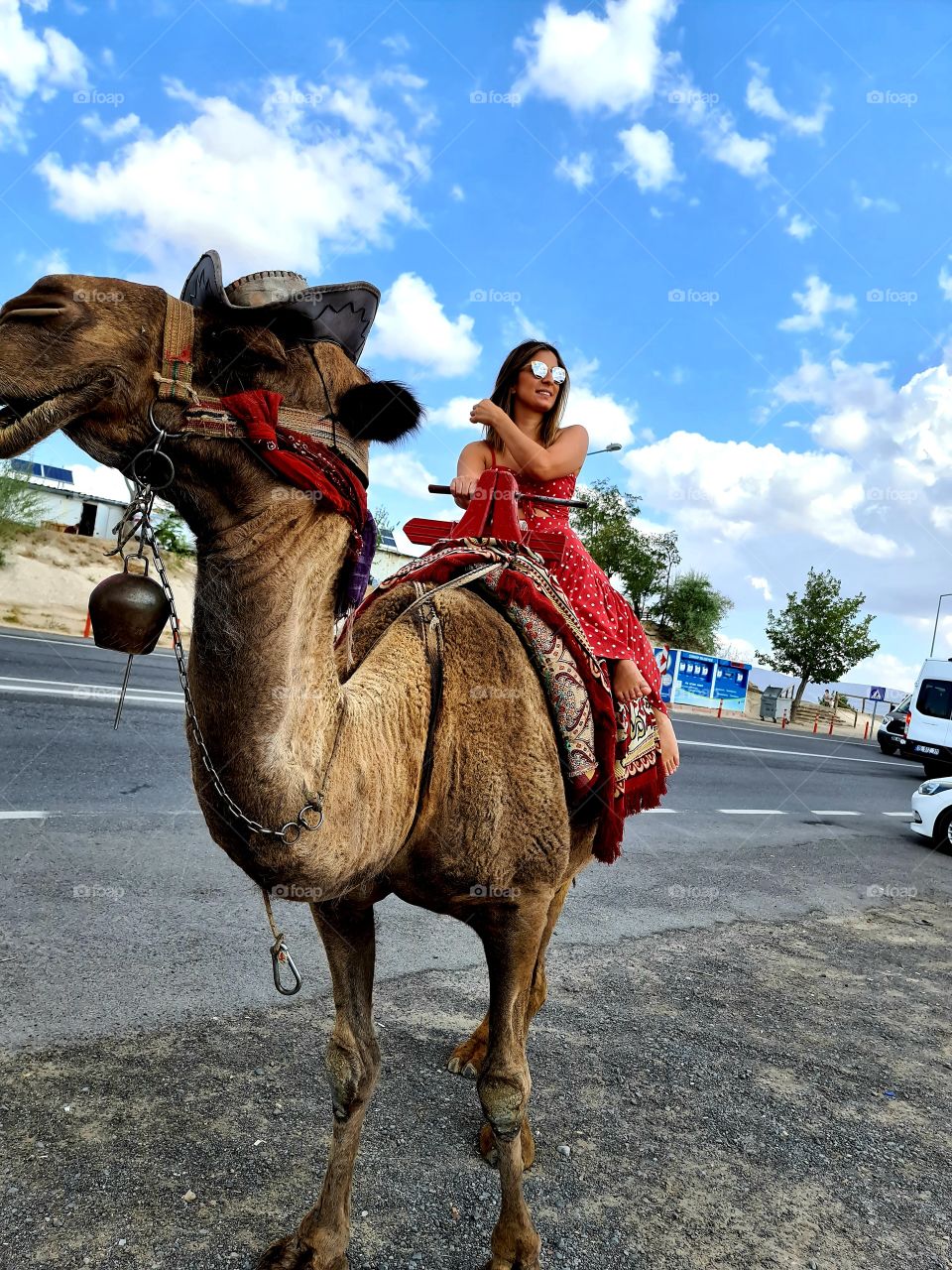 Hi! I'm a traveller's