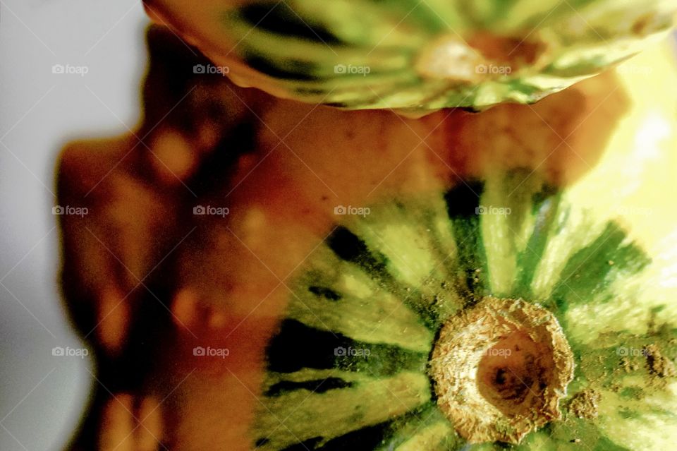 Macro of a orange, green & a yellow gourd resting on a mirror. The bottom gourd is the reflection.