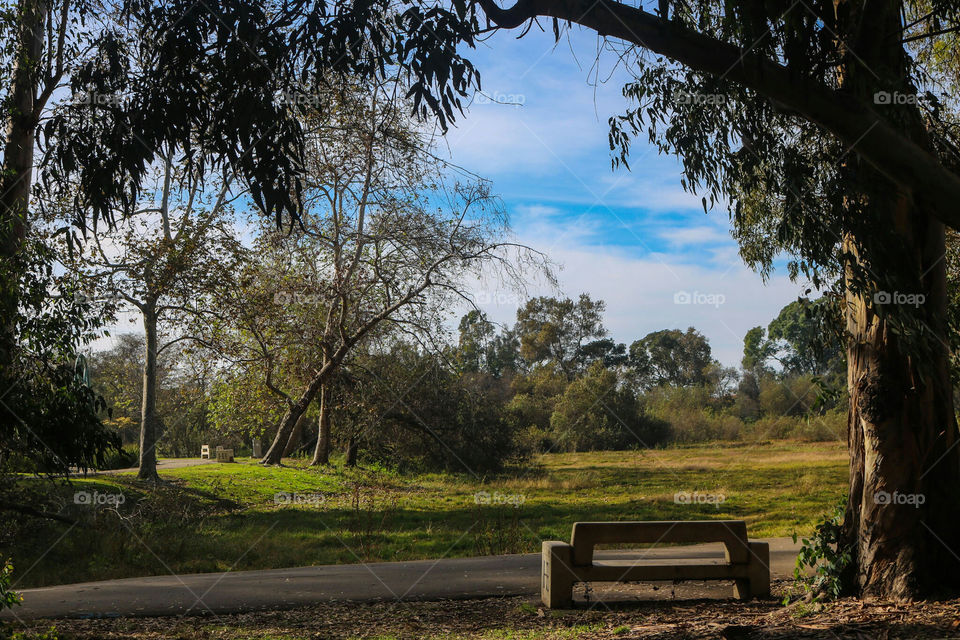 Huntington Central Park