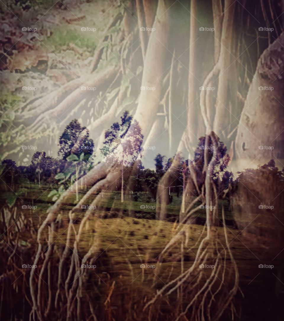 Title- Dream twist
Description - Blending of two images