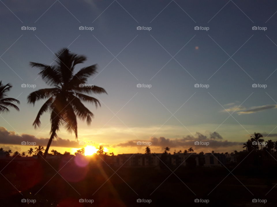 dawn in the tropics Dominican Republic