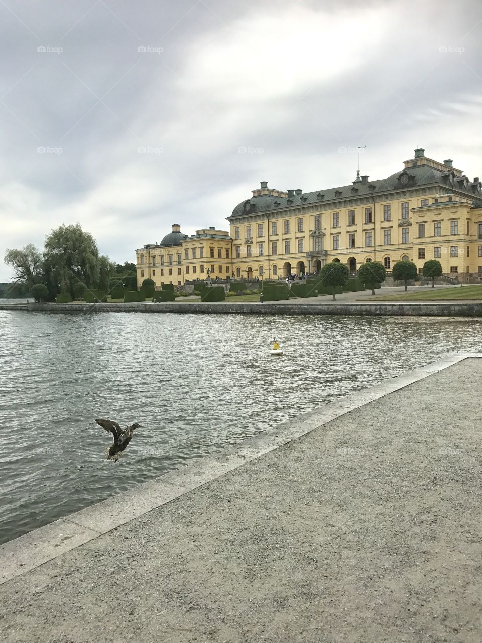 Drottningholm castle bird