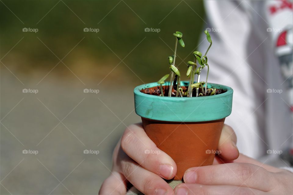 child holding new plants