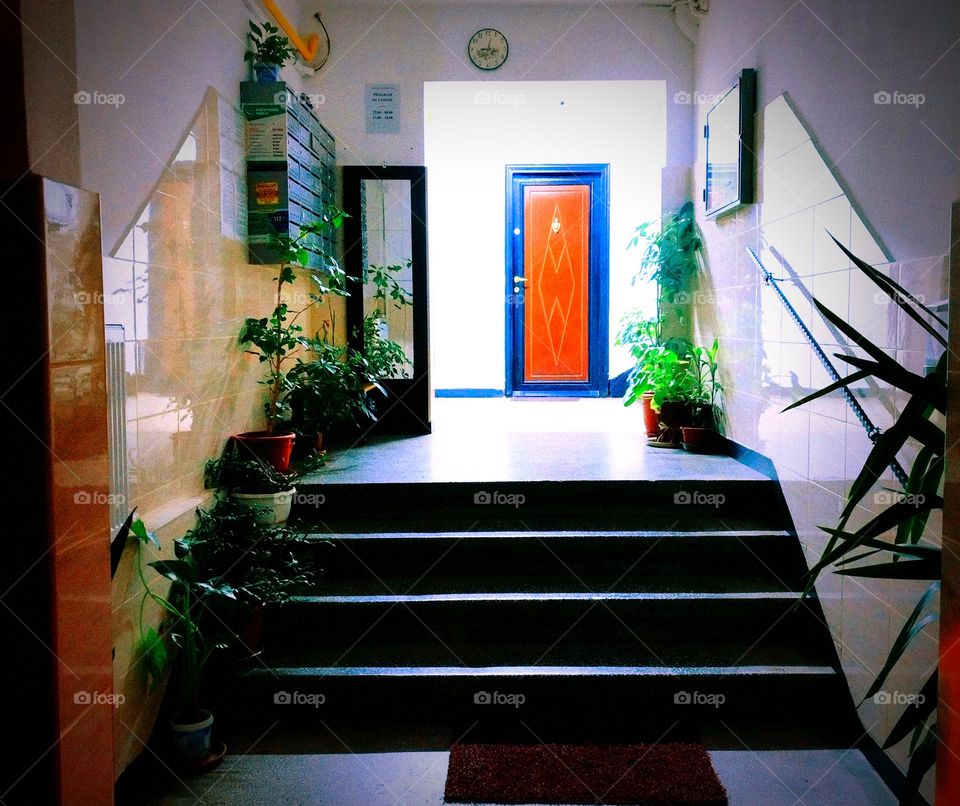 Home Entrance remembers Nature