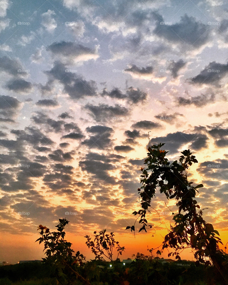 A beautiful golden sky, with the inspiration of nature illuminating our journey. Click from the city of Jundiaí (Brazil). Um céu dourado muito bonito, com a inspiração da natureza iluminando nossa jornada. Clique da cidade de Jundiaí (Brasil).