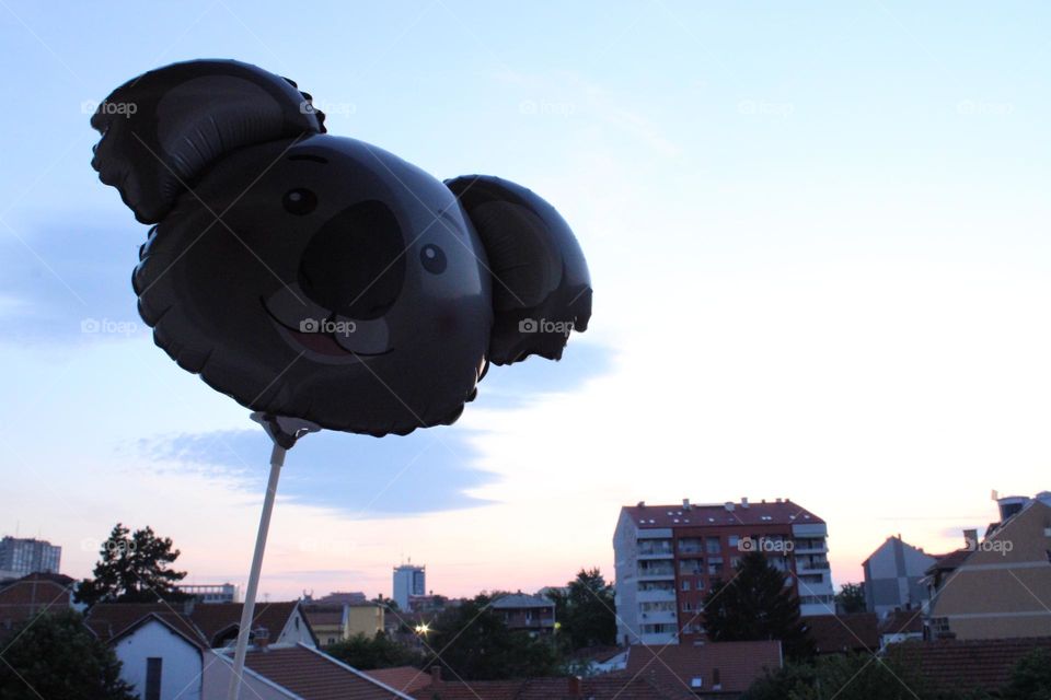 A balloon in the shape of a Koala 🐨