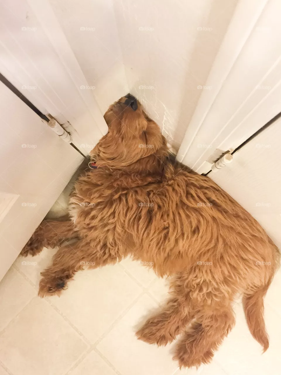 Sleepy time