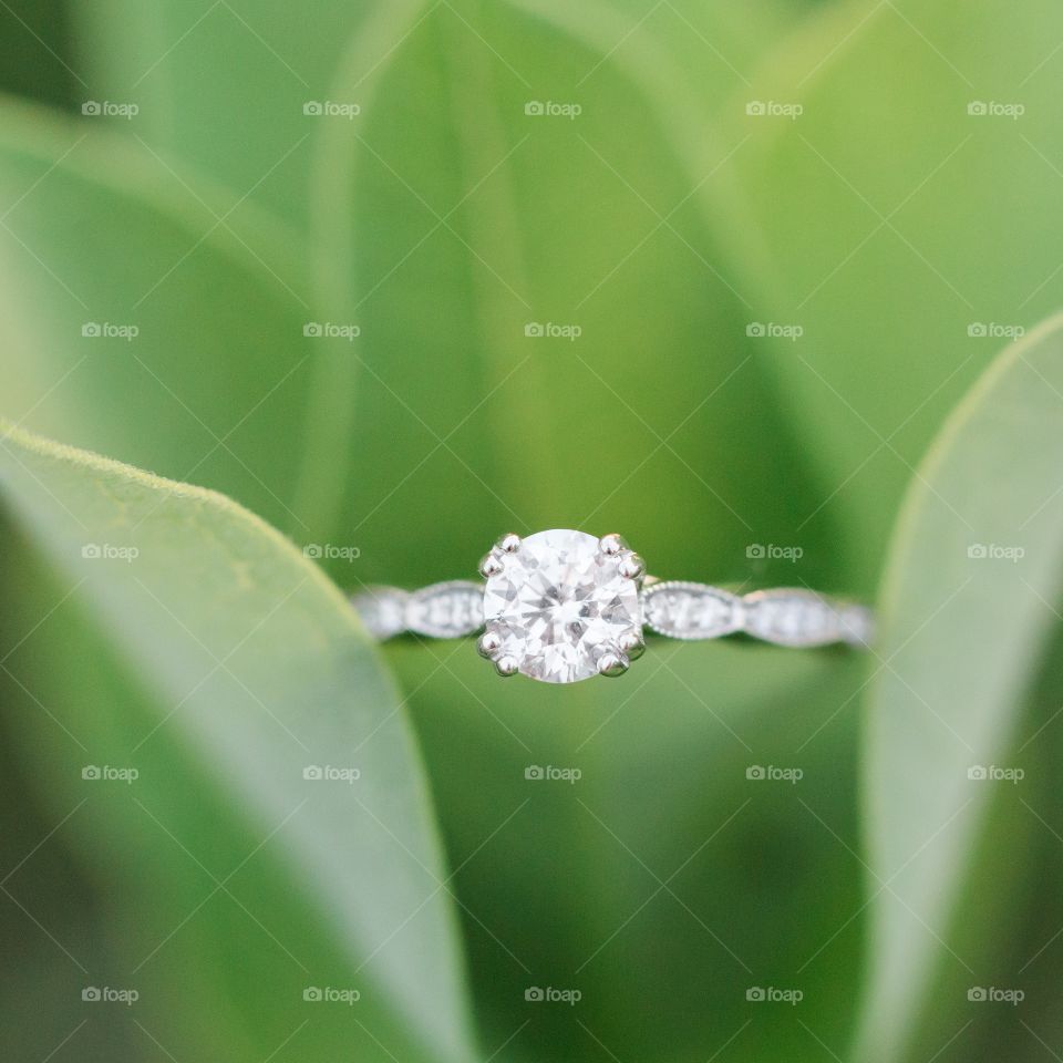 Engagement Ring on a Green Leaf