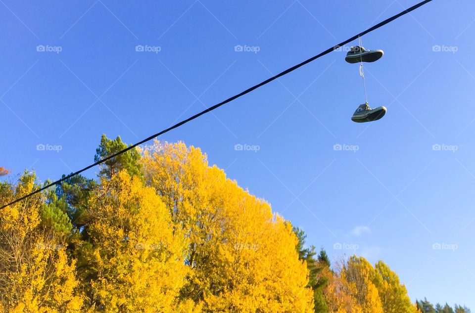 Shoe tossing