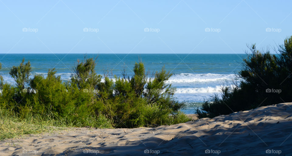 Beach landscape outdoors nature seascape, blue sea water ocean waves and brown sand with green vegetation plants and light sky sunny day environment summer time calm and relax place of vacations and holidays