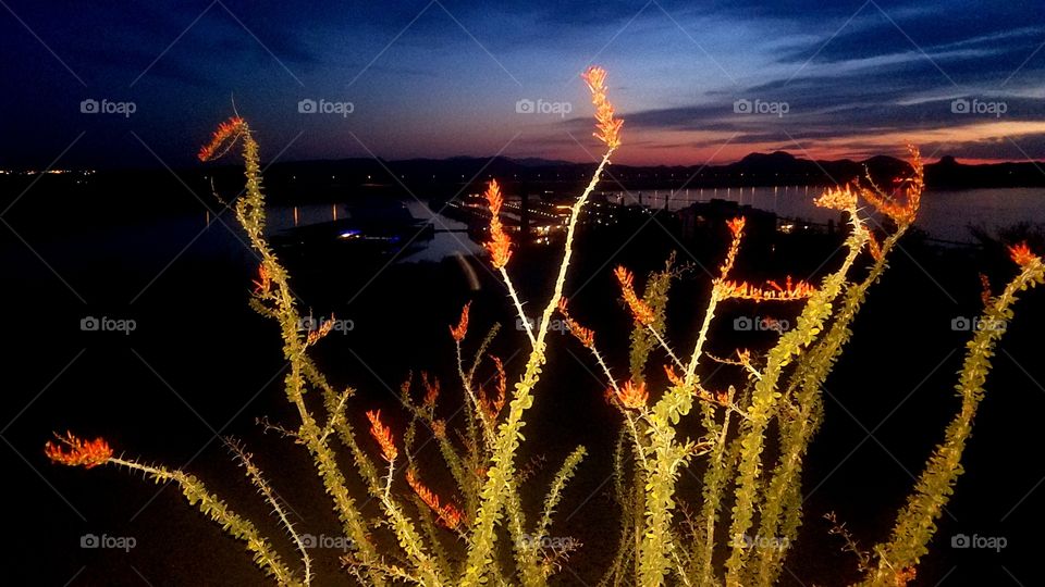 Arizona Lake Sunset