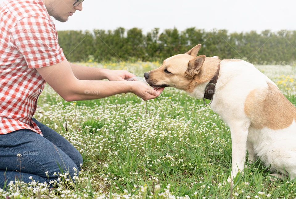 man and dog walking