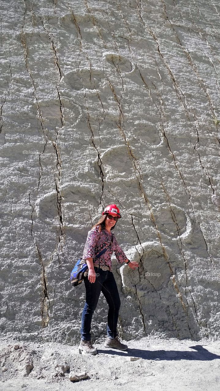 Dinosaur tracks