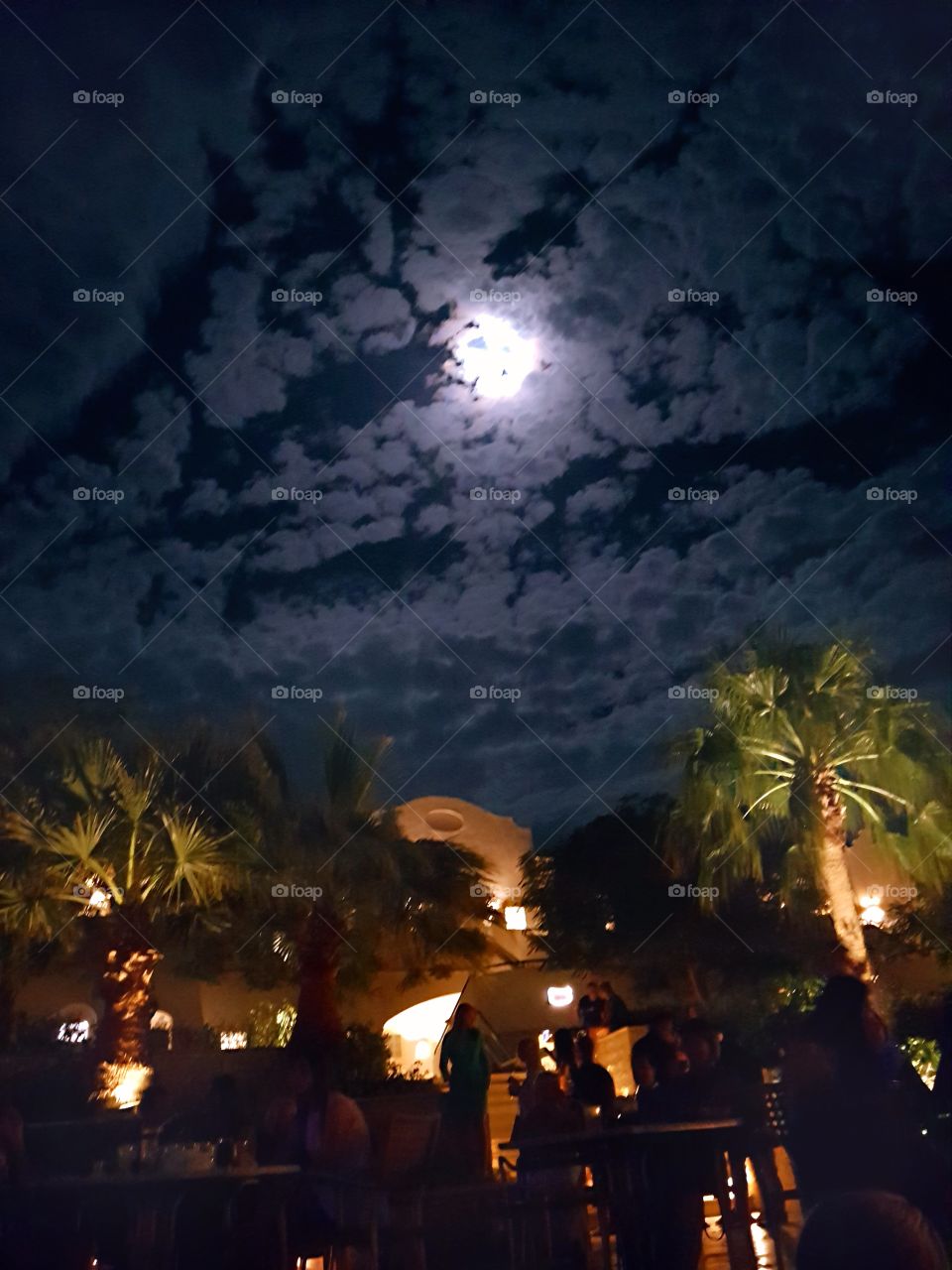 Night sky and full moon in Africa