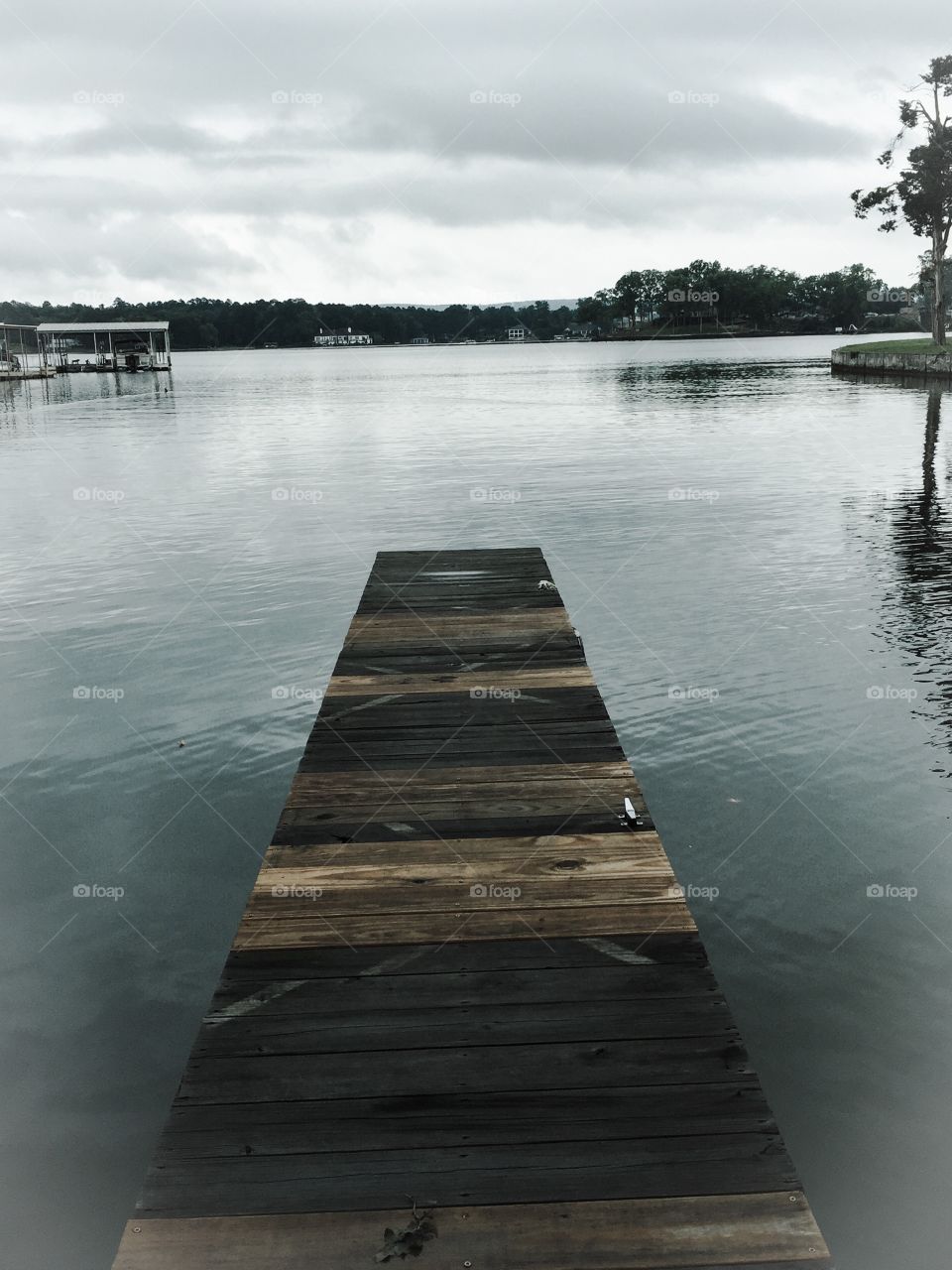 Walk the dock