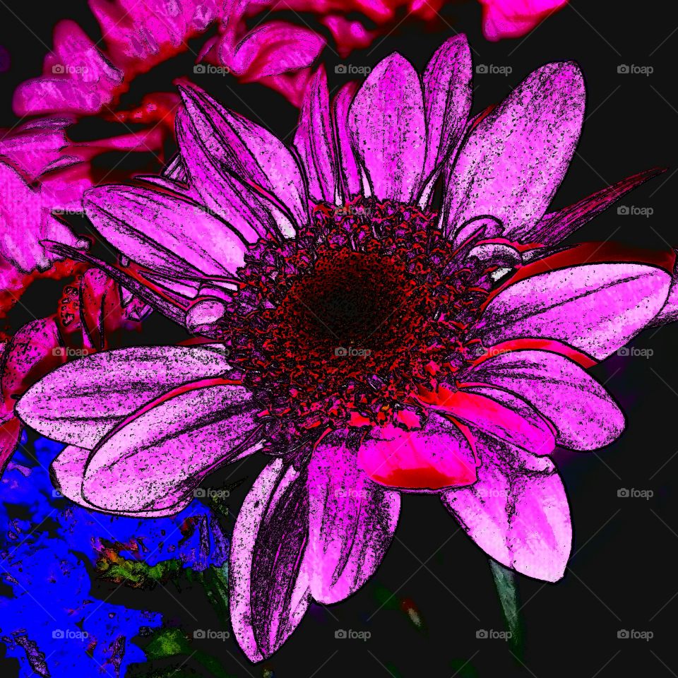 Flower, Flora, Nature, Floral, Petal