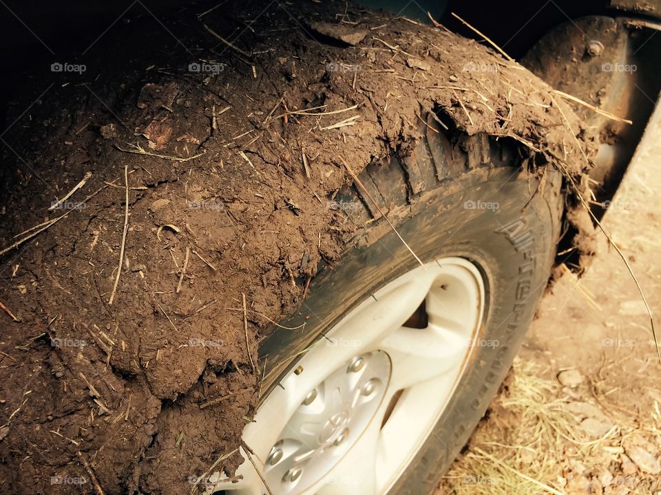 Mud on the Tire
