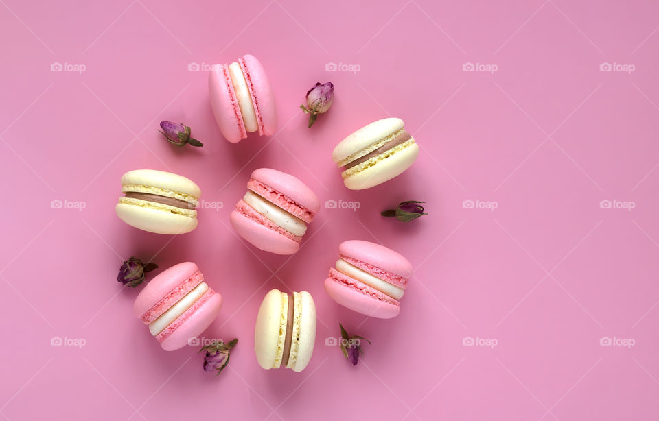 Top view of colourful macarons field with cream on the pink background. Copy space.
