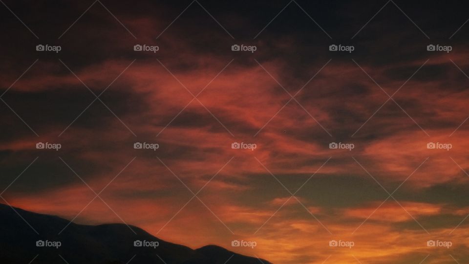 Autumn colours 🎃 🍁