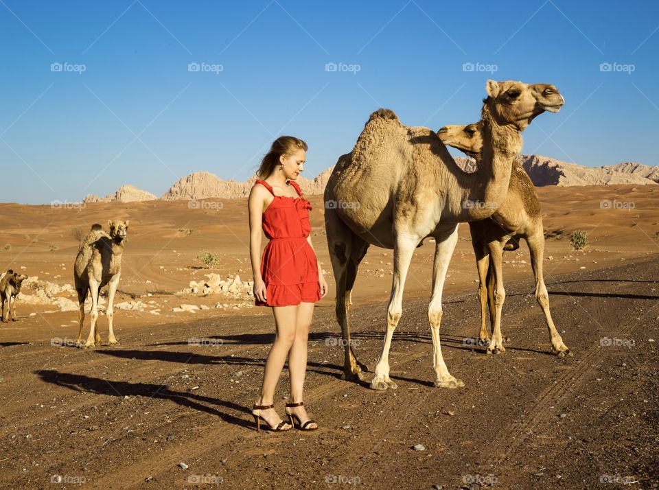 Camels loves red 