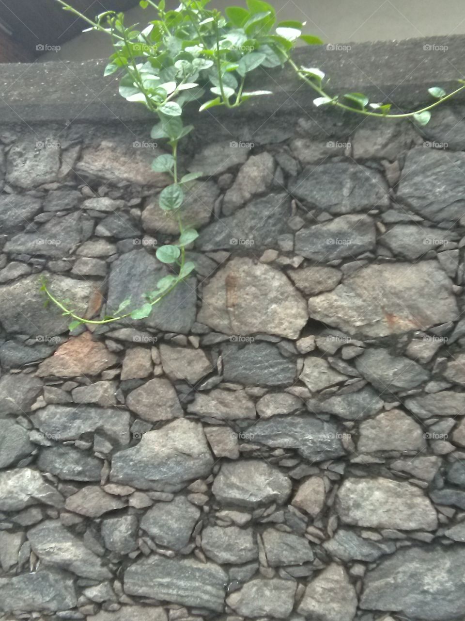 a wall on road side