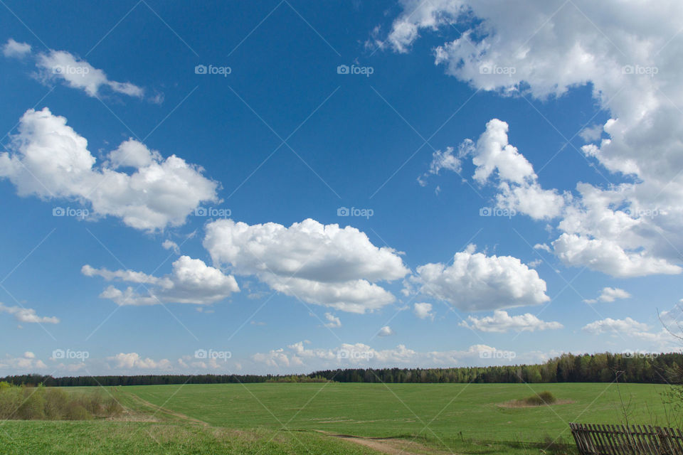 Fields and blue sky