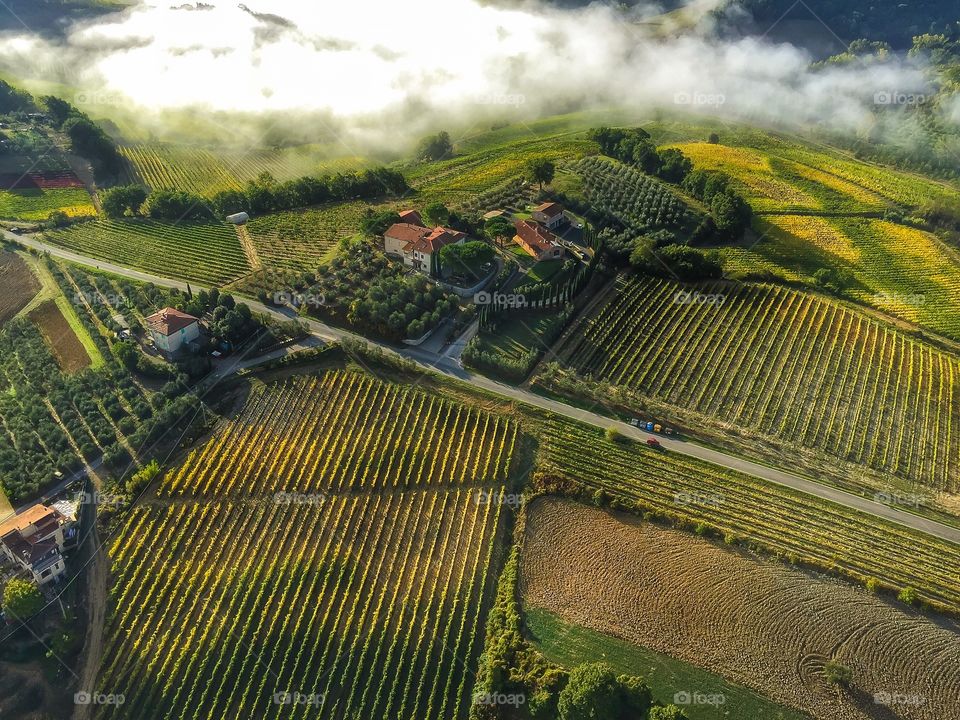 Aerial view of agriculture field in Tuscany
