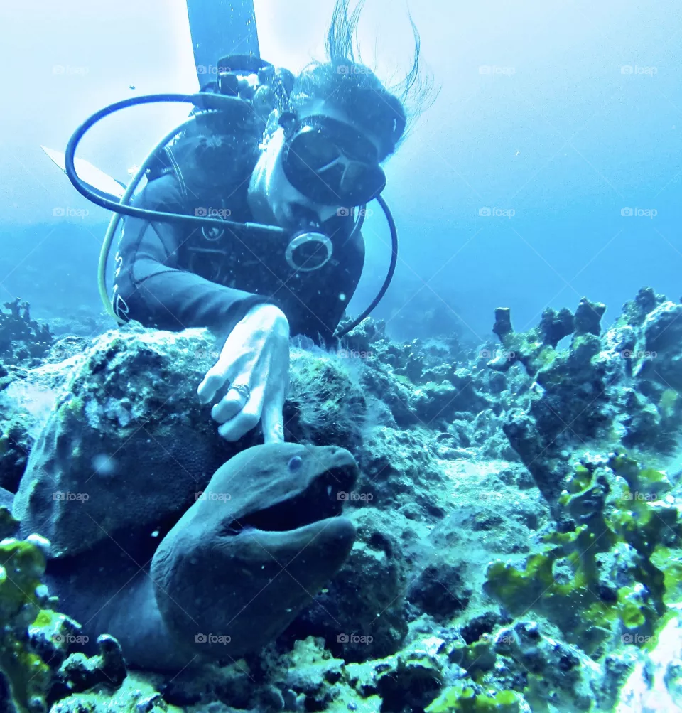 Dive