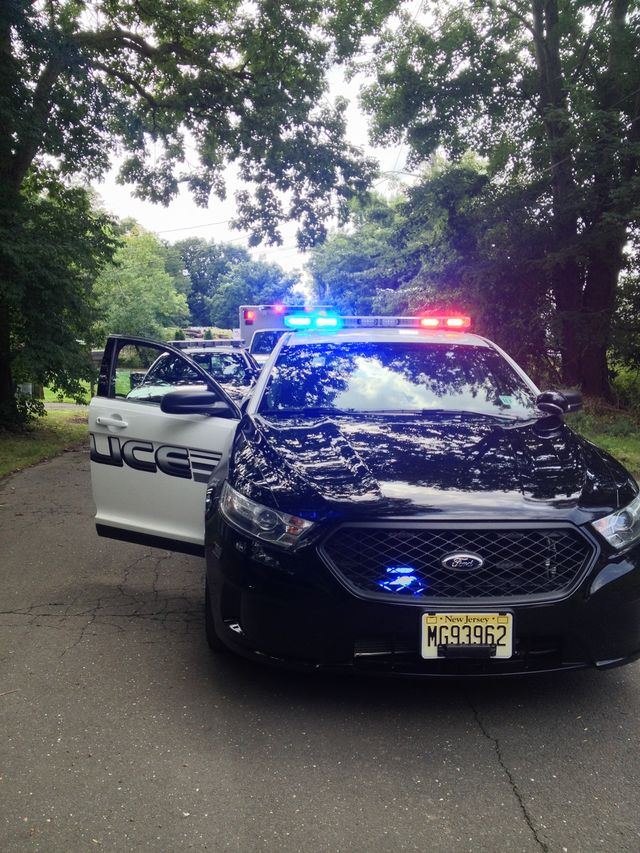 Our Protectors
