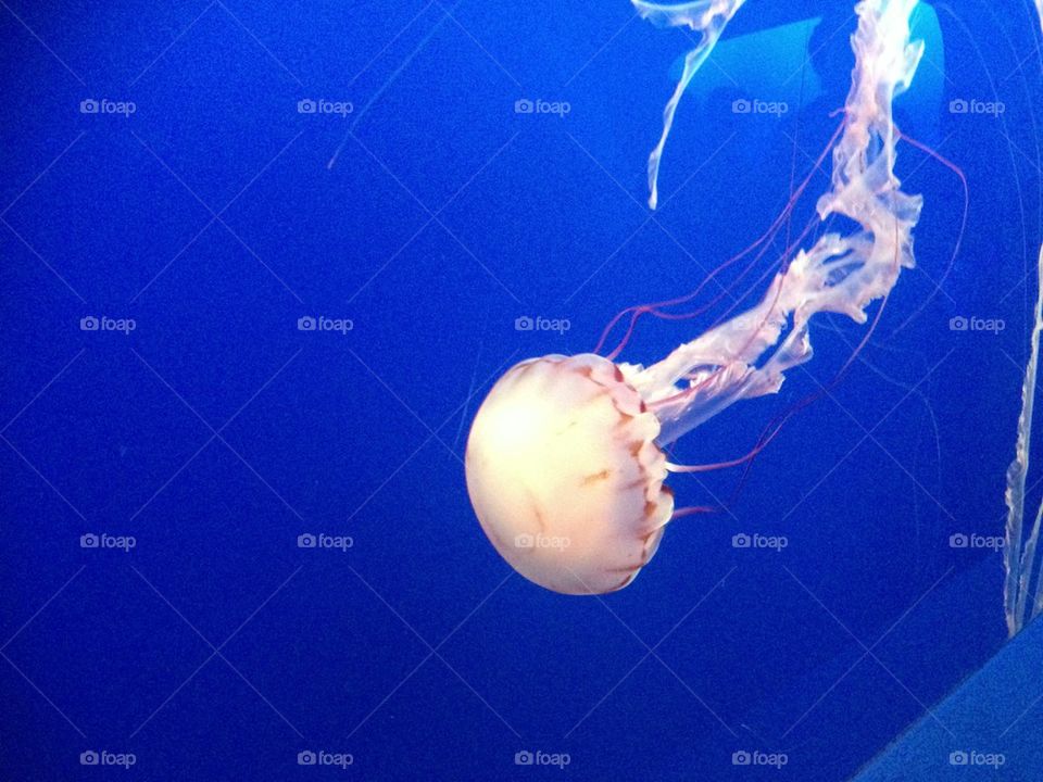 people nature travel color by itsAus