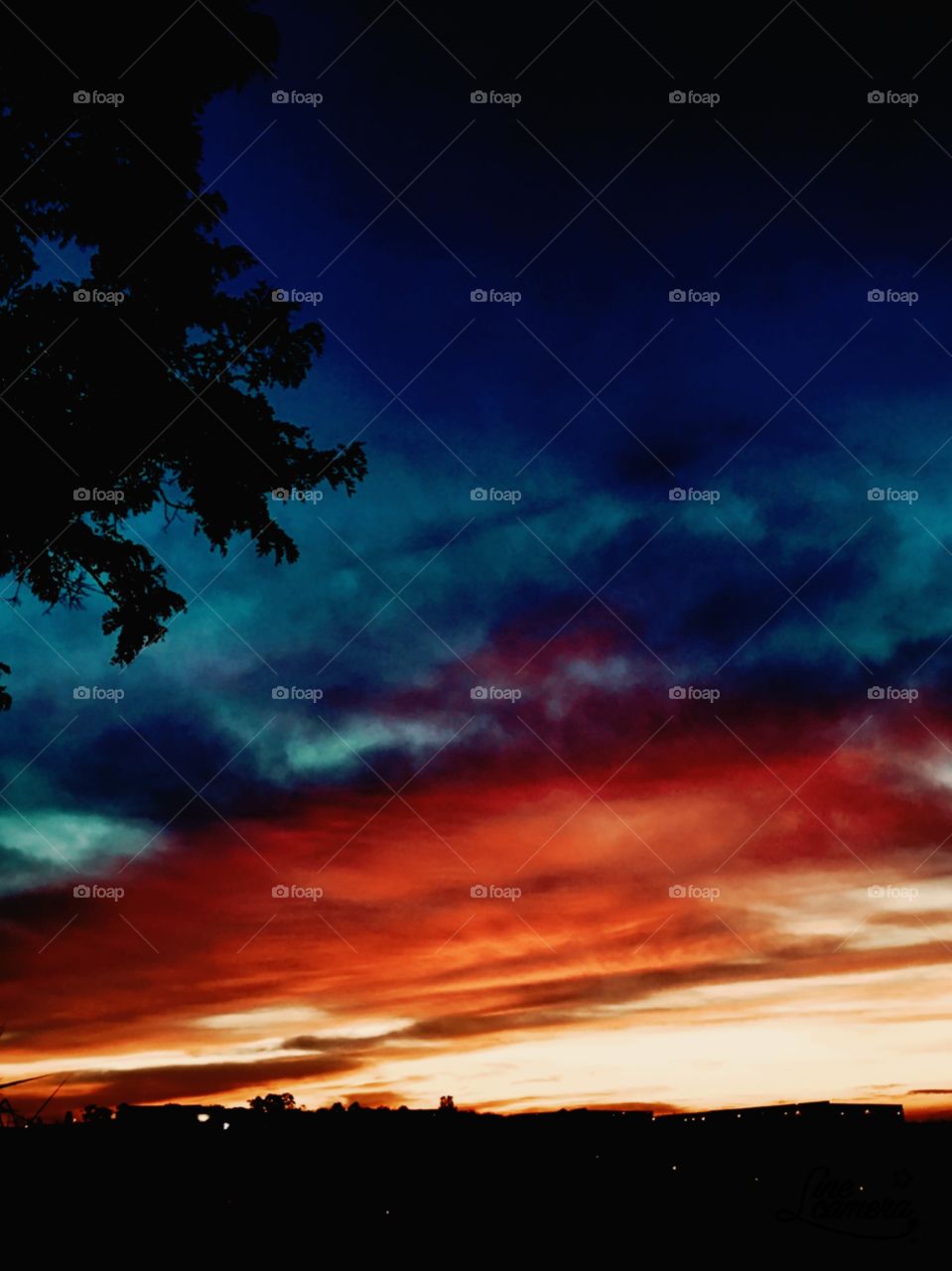 š
Desperte, #JundiaĆ.
Que a jornada diƔria possa valer a pena!
š
#sol #sun #sky #cĆ©u #photo #nature #morning #alvorada #natureza #horizonte #fotografia #pictureoftheday #paisagem #inspiração #amanhecer #mobgraphy #mobgrafia #AmoJundiaĆ