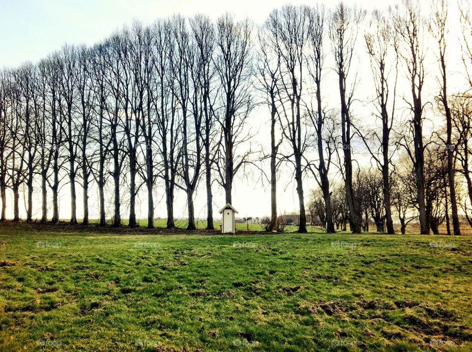 landscape sky nature grass by matajas