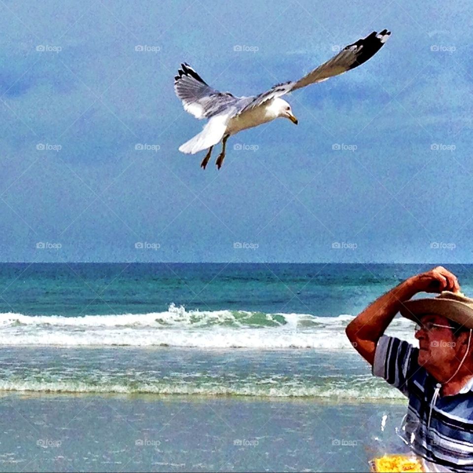 Feeding the seagulls. 