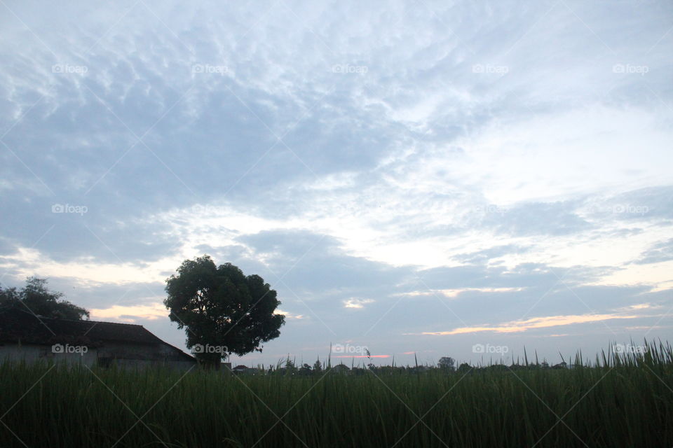 Beautiful sky with rule of third