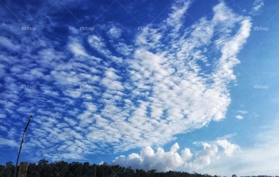 cumulus
