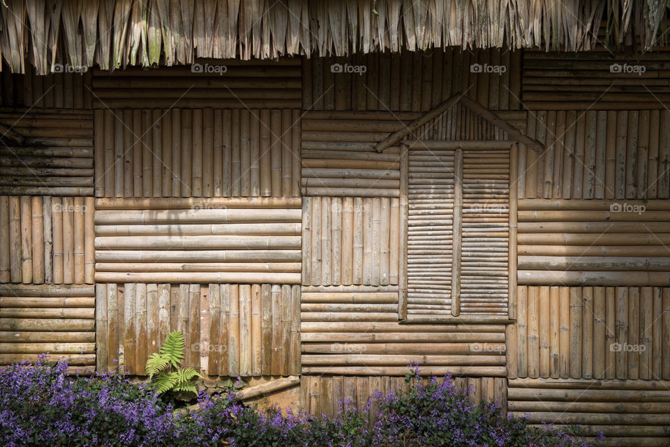 Bamboo house