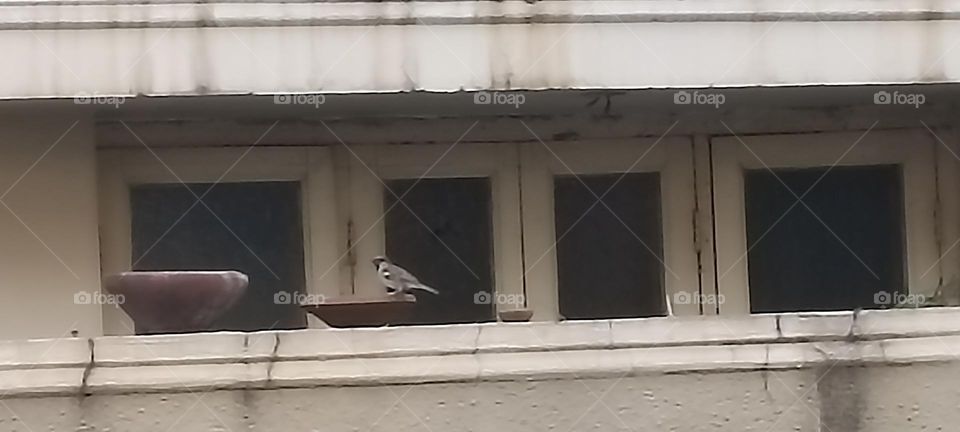 come all my friends let's eat today no hunger games