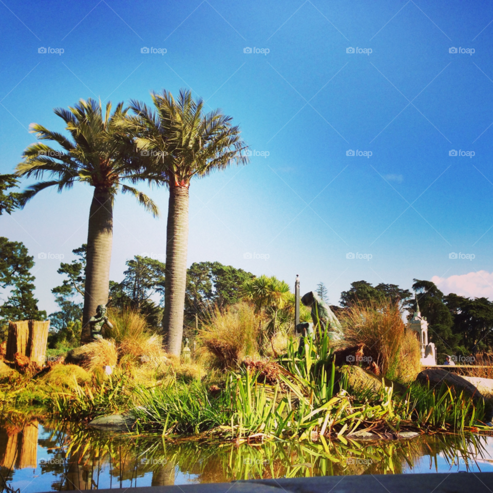 trees pond water park by gene916