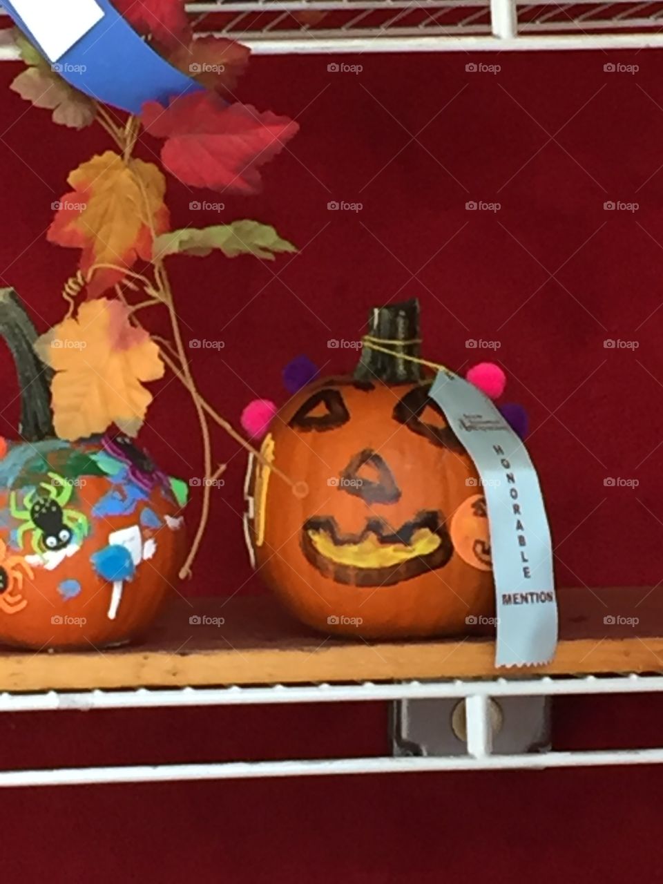 Pumpkin contest winner