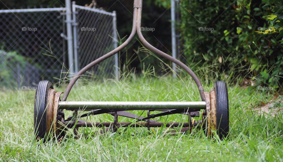 Vintage Push Lawnmower And Grass