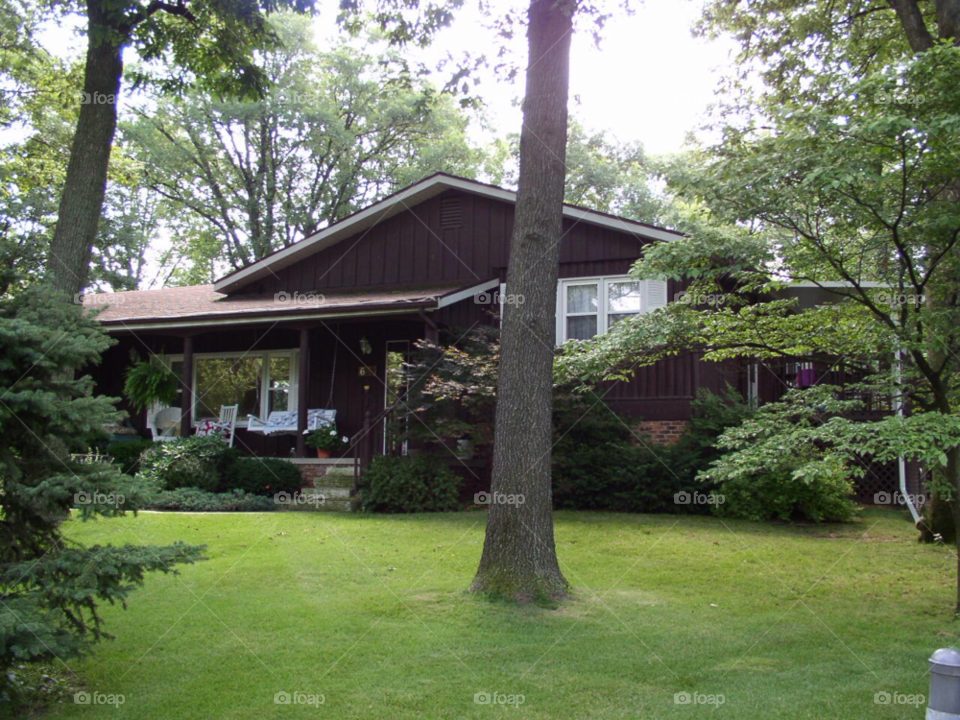 Home, Wood, Tree, House, No Person