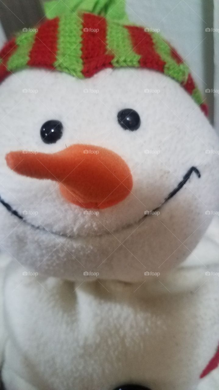snowman selfie