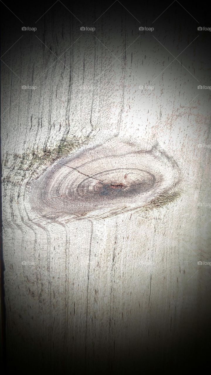 natural design on wood captured