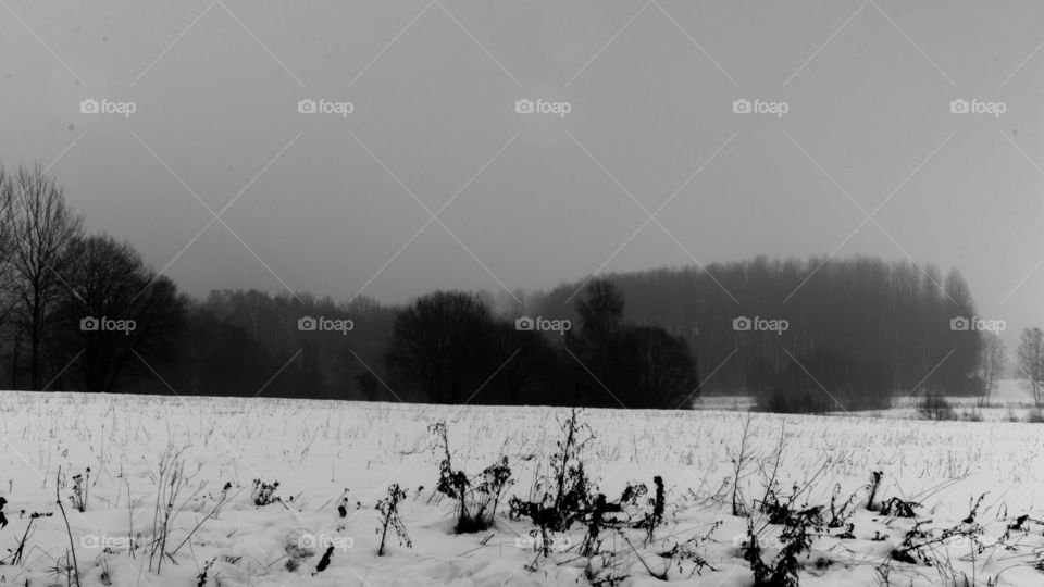 long exposure of a fog covered field in the countryside of Sweden. black and white photo