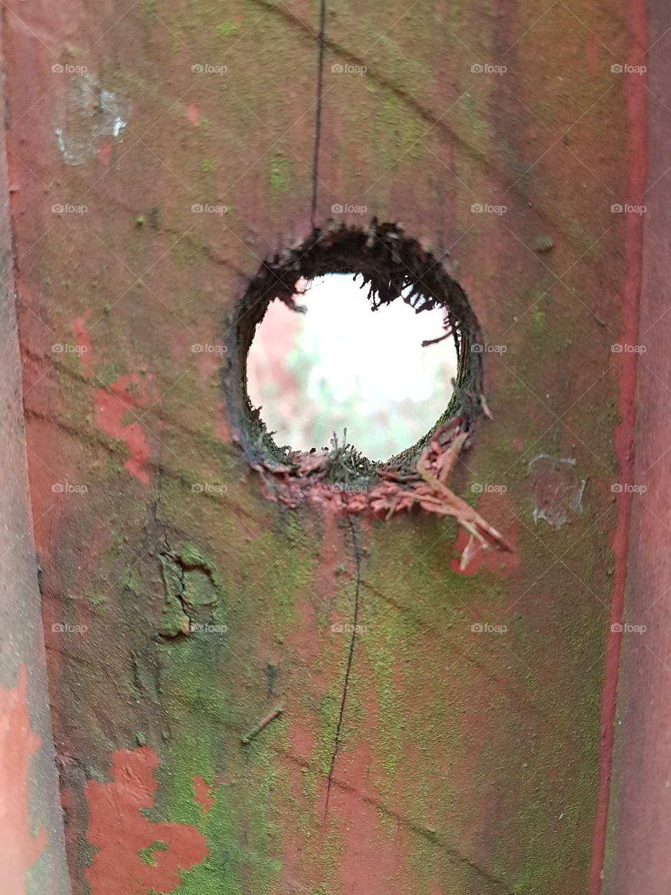hole in fence