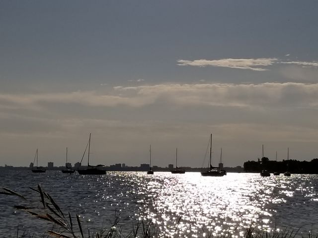 Boats on the river at dawn