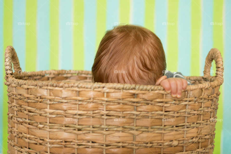 Baby in a basket