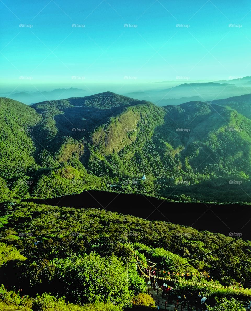 jungle and waterfall
