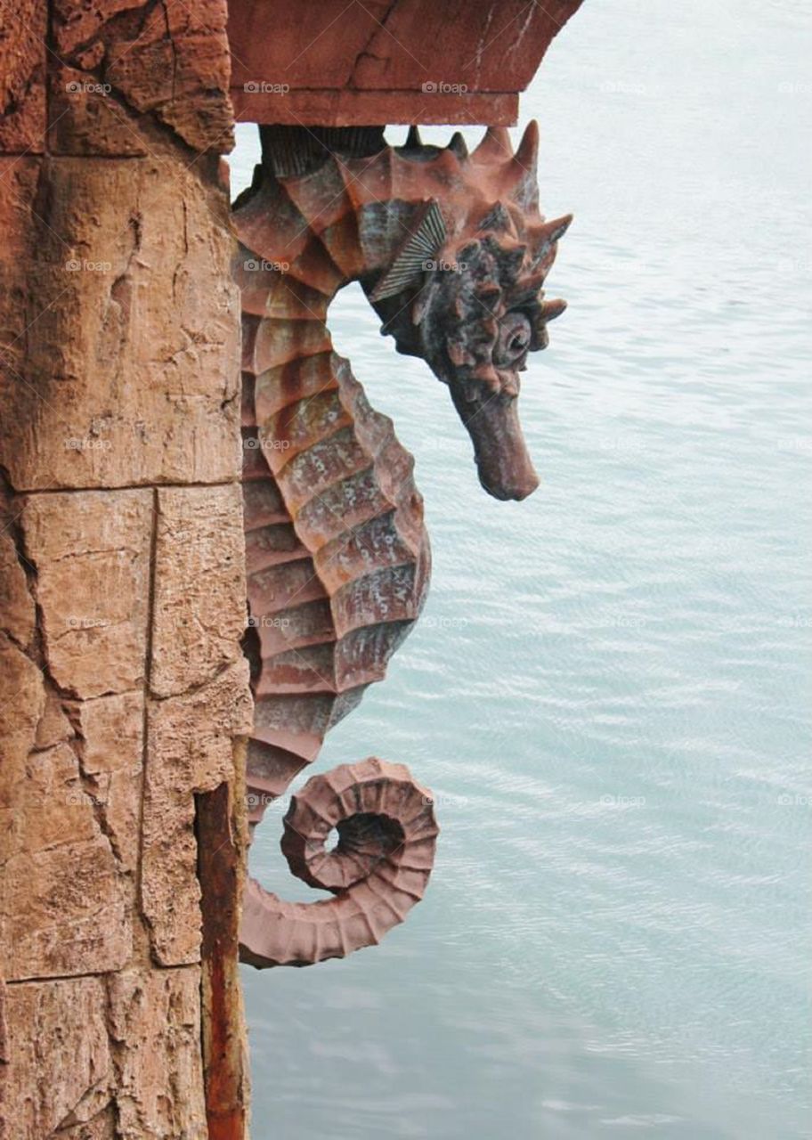 Seahorse architectural detailing